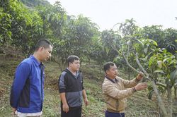 Linh hoạt đưa nghị quyết của Đảng vào cuộc sống