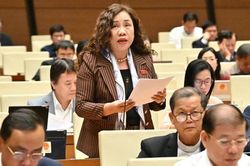 Đại biểu đề nghị có chính sách ưu đãi tín dụng, thuế TNDN phát triển cơ sở dưỡng lão