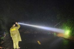 Lâm Đồng: Đèo Gia Bắc sạt lở nhiều điểm, cấm phương tiện lưu thông