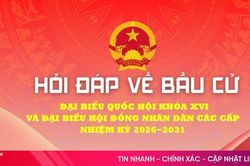 Ủy ban bầu cử cấp tỉnh và xã có bao nhiêu thành viên?