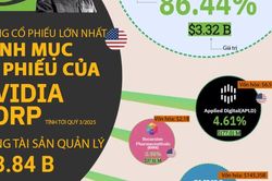 Danh mục đầu tư của Nvidia có những gì?