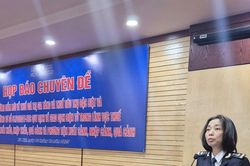 Cục Hải quan: Đã thu được 1.082 tỷ đồng thuế VAT từ hàng trị giá thấp