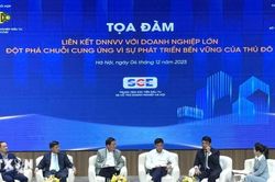Liên kết doanh nghiệp nhỏ và vừa với doanh nghiệp lớn: Đột phá chuỗi cung ứng