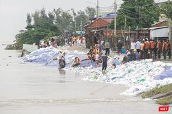 Đà Nẵng đề xuất Trung ương bổ sung 4.300 tỉ đồng để phòng, chống thiên tai