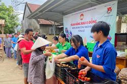 Giá rau, thực phẩm dần bình ổn sau mưa lũ
