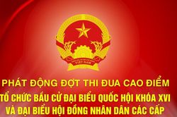 Lâm Đồng phát động thi đua cao điểm bầu cử Quốc hội khóa XVI và HĐND các cấp