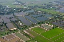 61 triệu thửa đất được đồng bộ trong chiến dịch 90 ngày làm sạch dữ liệu đất đai