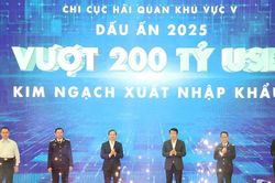 Lần đầu tiên kim ngạch xuất nhập khẩu tại Hải quan Khu vực V vượt mốc 200 tỷ USD