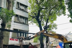 Hà Nội cưỡng chế nhiều công trình để đẩy nhanh tiến độ dự án Hoàng Cầu - Voi Phục