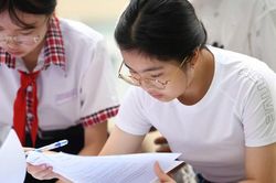 Học sinh Việt Nam dẫn đầu ASEAN về điểm Toán
