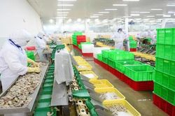 Xuất khẩu nông sản sang EU tăng trưởng nhờ EVFTA