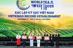 Lễ hội Trà quốc tế 2025 - Kết nối tinh hoa trà toàn cầu, khẳng định vị thế trà Việt