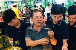 Để sâm Ngọc Linh mở rộng thị trường tiêu thụ