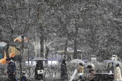 Seoul lãng mạn dưới tuyết đầu mùa: Hướng dẫn trải nghiệm