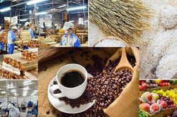 Xuất khẩu nông sản bật tăng mạnh cuối năm: Việt Nam vượt mốc 64 tỷ USD