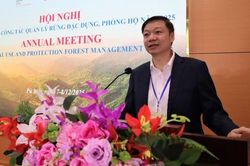 Giảm số vụ phá rừng trái phép và cháy rừng