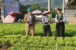 Đảng bộ xã Yên Định: Tạo bứt phá trong phát triển kinh tế - xã hội