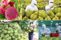 Xuất khẩu nông, lâm, thủy sản hướng tới mốc 70 tỷ USD