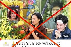 Nghệ sĩ Việt 'khốn đốn' vì tin giả thời AI