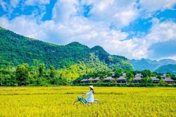 'Chạy trốn' cuối năm, đi tìm khoảng lặng sau một năm bộn bề