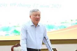 Thành phố Hồ Chí Minh chủ động gỡ khó cho các dự án, nhưng không được hợp thức hóa sai phạm