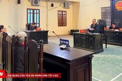 Tòa bác yêu cầu khởi kiện vụ mẹ đòi lại đất đã cho con