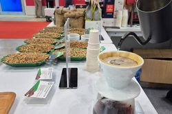Giá cà phê hôm nay 9/12/2025: Tăng nhẹ trở lại