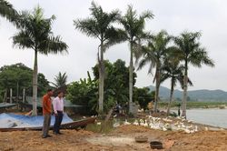 Trợ lực để nông dân nâng cao chất lượng cuộc sống