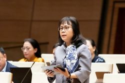 Đại biểu Quốc hội đoàn Nghệ An thảo luận sửa đổi, bổ sung một số điều của Luật Thuế giá trị gia tăng