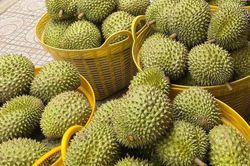 Giá sầu riêng hôm nay 9/12/2025: Tiếp tục ổn định tại nhiều vùng trồng