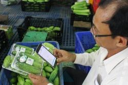 Chuyển đổi số trong nông nghiệp: Nhu cầu minh bạch từ thực tiễn
