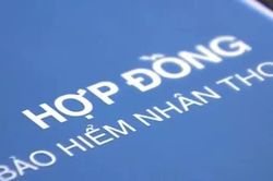Từ 2026, tư vấn viên bảo hiểm nhân thọ hết được 'chạy 2 chân'