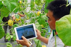 Xây dựng, triển khai chương trình hỗ trợ chuyển đổi số cho hợp tác xã ngay trong năm 2026
