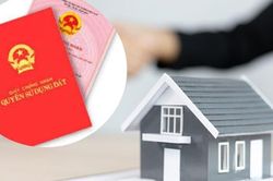 Quyền sử dụng đất mà chồng có được sau khi kết hôn là tài sản chung của vợ chồng đúng không?