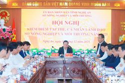 Phó Chủ tịch UBND tỉnh Nguyễn Văn Đệ chỉ đạo kiểm điểm tập thể, cá nhân lãnh đạo Sở Nông nghiệp và Môi trường