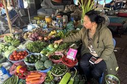 Giá rau xanh hạ nhiệt