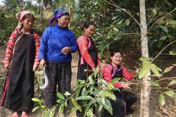 Bum Tở đổi thay từ Dự án 8: Khi bình đẳng giới bước vào đời sống
