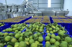 Phát triển công nghiệp chế biến, nâng cao năng lực cạnh tranh cho nông sản Việt