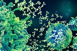 Bộ ba bảo vệ khỏi HPV: Tiêm chủng, xét nghiệm tầm soát định kỳ, theo dõi kịp thời