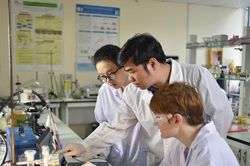 Việt Nam sẽ cử 1.500 ứng viên/năm du học Nga, Trung Quốc và các nước Đông Âu giai đoạn 2026–2035