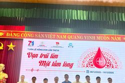 Thủy điện Quảng Trị: Hưởng ứng 'Tuần lễ hồng' EVN lần thứ XI