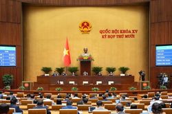 Phụ nữ nghỉ thai sản 7 tháng khi sinh con thứ 2, ưu tiên mua nhà ở xã hội