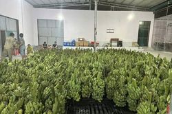 Minh bạch tài chính – Nền tảng huy động nguồn lực xây dựng NTM