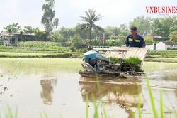Công nghệ mở lối cho HTX: Từ 'cánh đồng không dấu chân' đến chuỗi giá trị số hóa