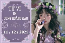 Tử vi 12 cung hoàng đạo ngày 11/12: Bạch Dương hanh thông, Song Ngư thị phi