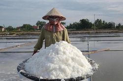 Diêm dân tăng thu nhập nhờ 'phù phép' cho hạt muối
