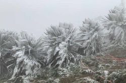 Gió mùa tràn về miền Bắc, vùng núi cao có nơi dưới 5°C