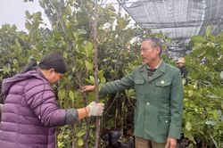 Thương binh Lê Minh The vượt khó, làm giàu