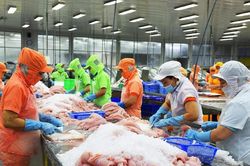 Tận dụng CPTPP, xuất khẩu thủy sản sang Nhật có thể lập kỷ lục mới