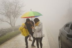 Lào Cai: Chỉ đạo hỏa tốc ứng phó với thời tiết rét đậm, rét hại